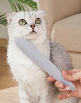 Масажний гребінець для тварин (імітація котячого язика) сірий 0099CH/1 фото