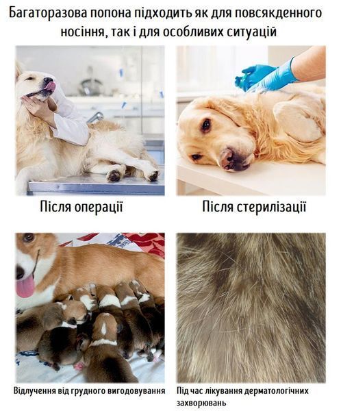 Попона послеоперационная для собак на кнопках размер L синяя 0200CH фото
