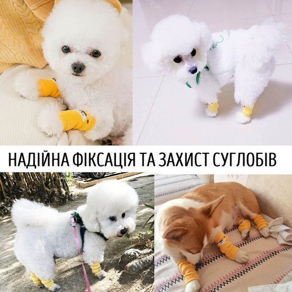 Наколінники для собак гетри 4 шт розмір M темно-сині 0264CH/01 фото