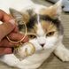 Брелок для котячої шерсті плямистий котик 0181CH/05 фото 1