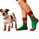 Новорічний комплект шкарпеток для себе і улюбленця 0245CH фото 1