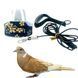 Поводок со бретелькой для голубя и большого попугая размер 2XL синий 0223CH/02 фото 1